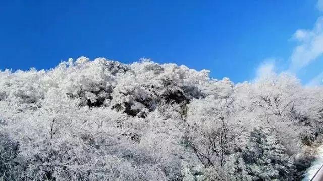 樱花麻将连连看