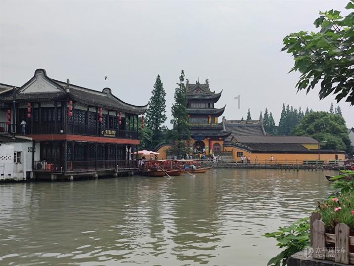 动物帮帮忙保卫家园